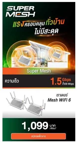 supermesh 1099